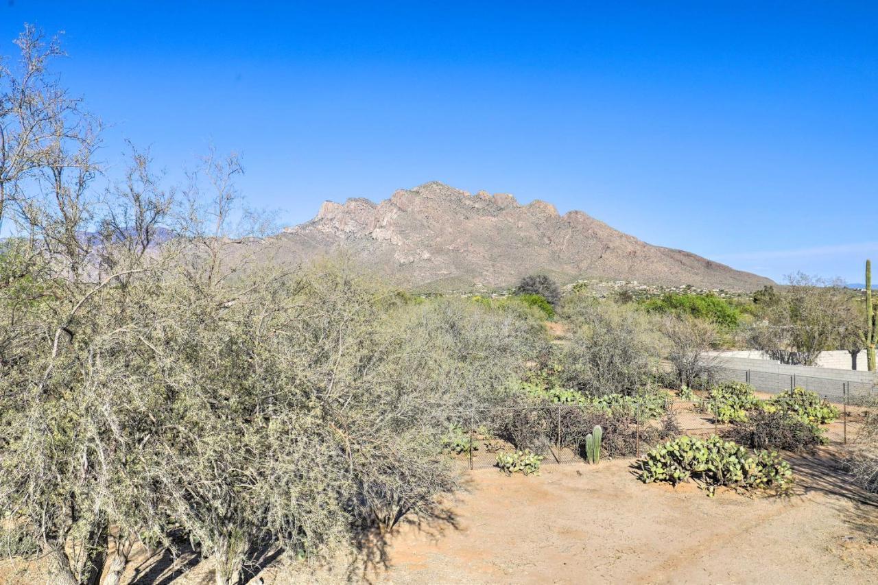 Oro Valley Retreat With Pool, Spa And Rooftop Views! Екстер'єр фото